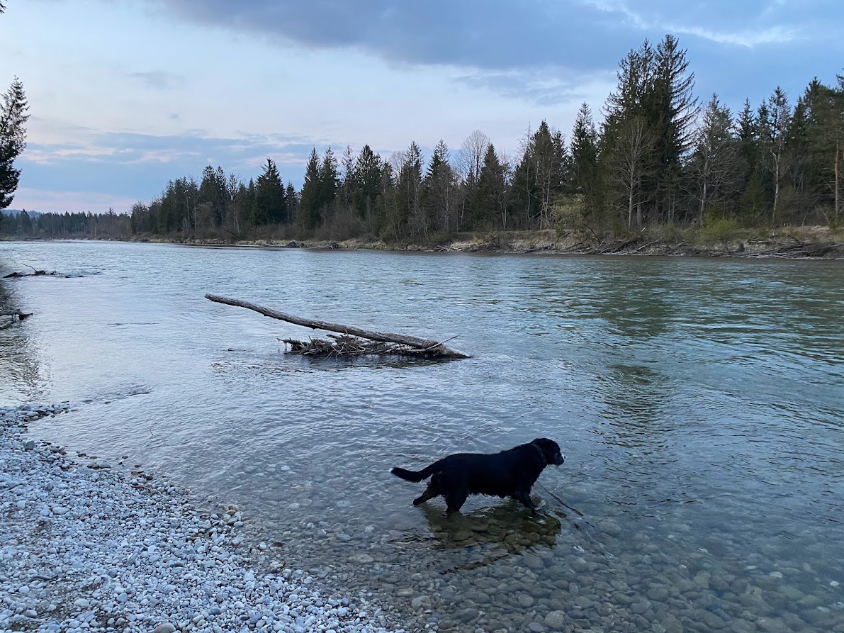 Isar in der Dämmerung